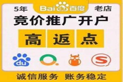 攻略解析：如何利用百度推广抢占市场份额